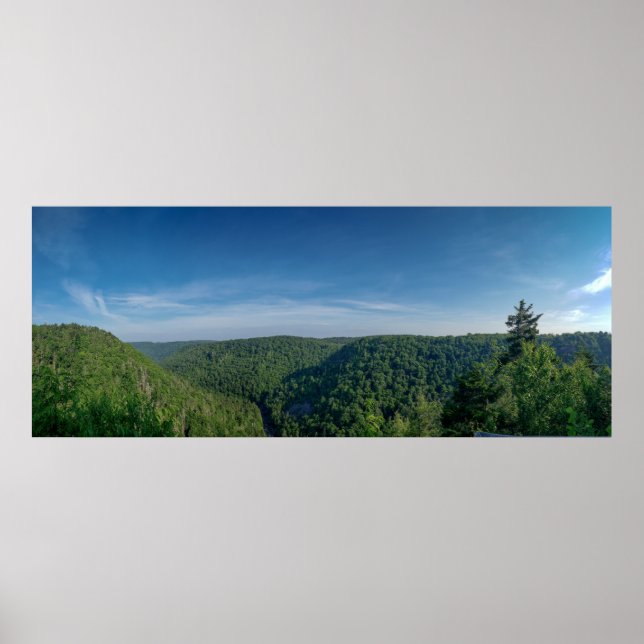 Blackwater Canyon, Blackwater Falls State Park, WV Poster (Framsidan)