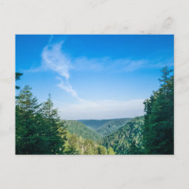 Blackwater Canyon, Väster Virginia Vykort