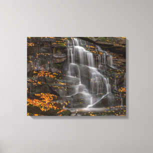 Blackwater Falls State Park Canvastryck