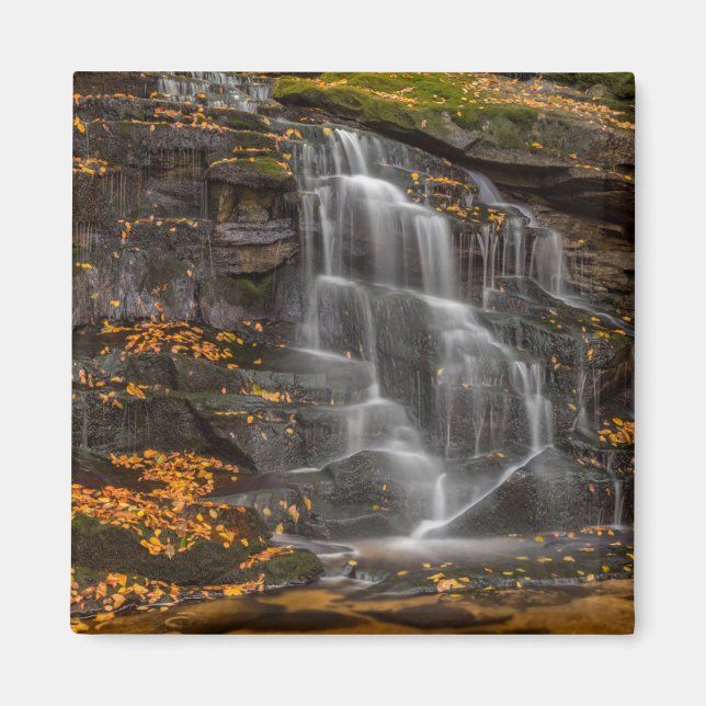 Blackwater Falls State Park Magnet (Framsidan)