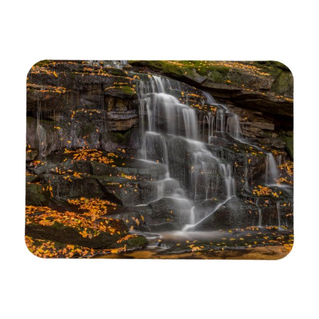 Blackwater Falls State Park Magnet (Horisontell)