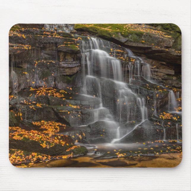 Blackwater Falls State Park Musmatta (Framsidan)