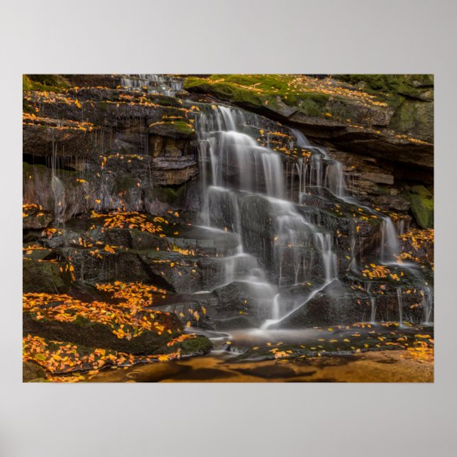 Blackwater Falls State Park Poster (Framsidan)