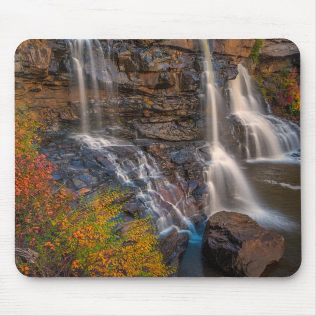 Blackwater Falls State Park | Väster Virginia Musmatta (Framsidan)