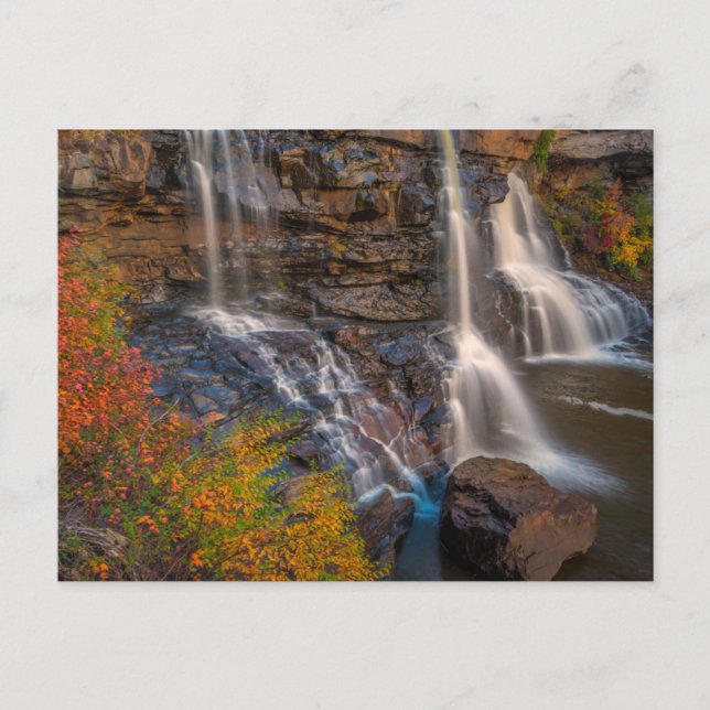 Blackwater Falls State Park | Väster Virginia Vykort (Framsida)