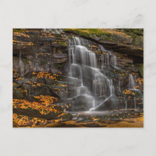Blackwater Falls State Park Vykort