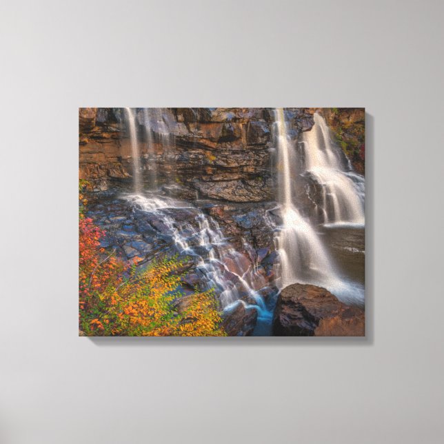 Blackwater Falls State Park | West Virginia Canvastryck (Framsida)