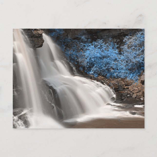 Blackwater Falls State Park West Virginia USA Vykort (Framsida)