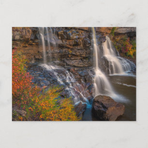 Blackwater Falls State Park West Virginia Vykort