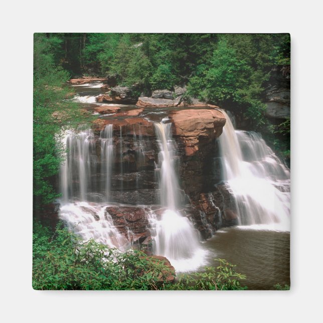 Blackwater Falls, West Virginia, naturskön, Magnet (Framsidan)