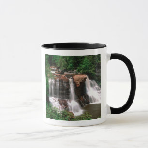 Blackwater Falls, West Virginia, naturskön, Mugg