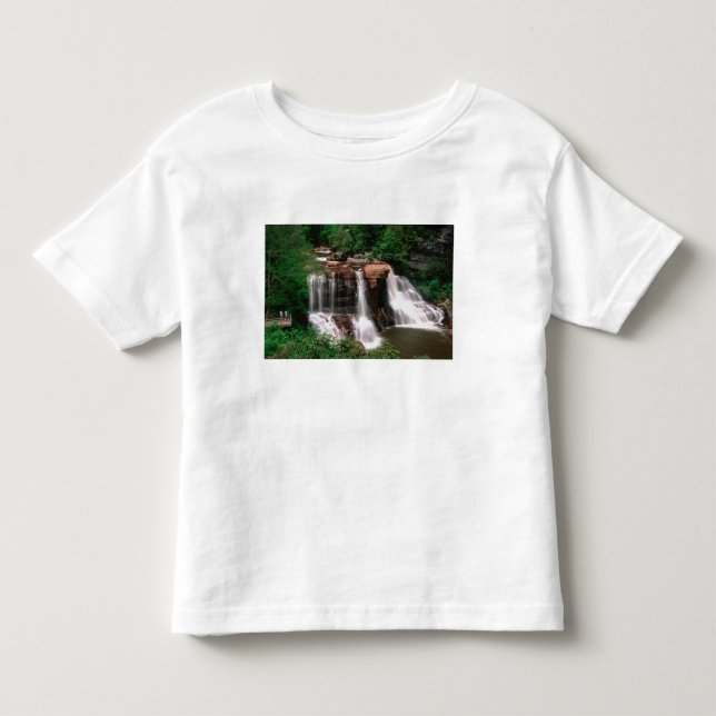 Blackwater Falls, West Virginia, naturskön, T-shirt (Framsida)