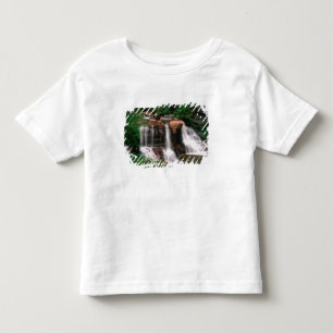 Blackwater Falls, West Virginia, naturskön, T-shirt