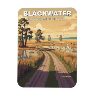 Blackwater National Wildlife Refuge i Maryland Magnet