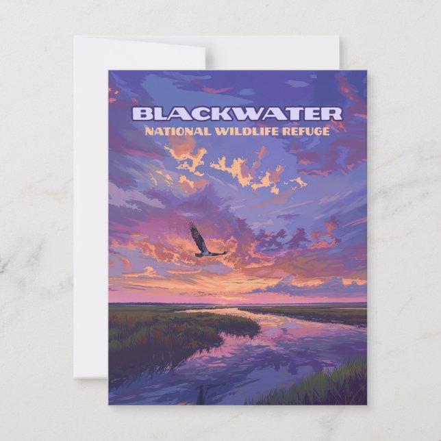 Blackwater National Wildlife Refuge Maryland Card (Framsida)
