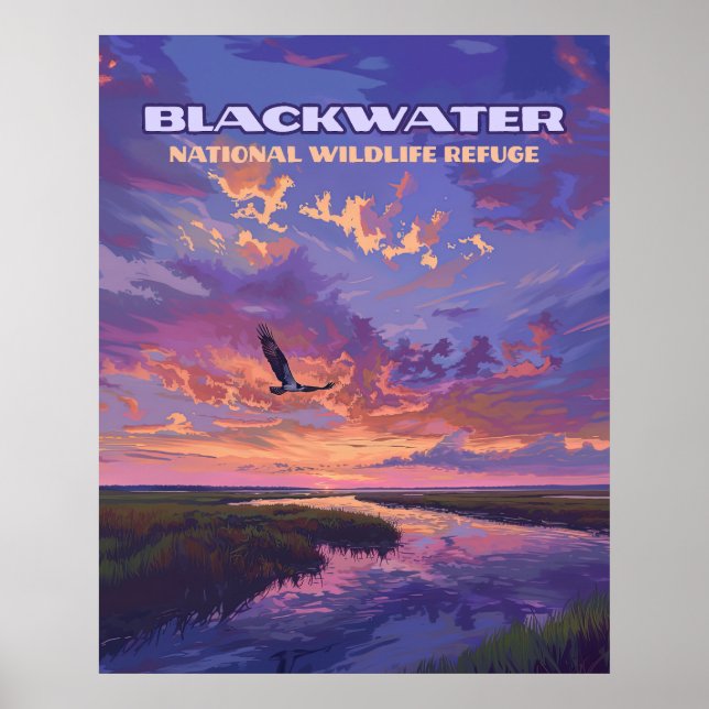 Blackwater National Wildlife Refuge Park Maryland Poster (Framsidan)