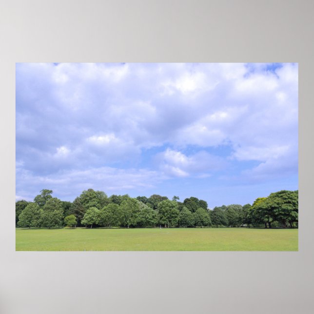 Blackweir Fält. Bute Park, Cardiff, Wales. Poster (Framsidan)