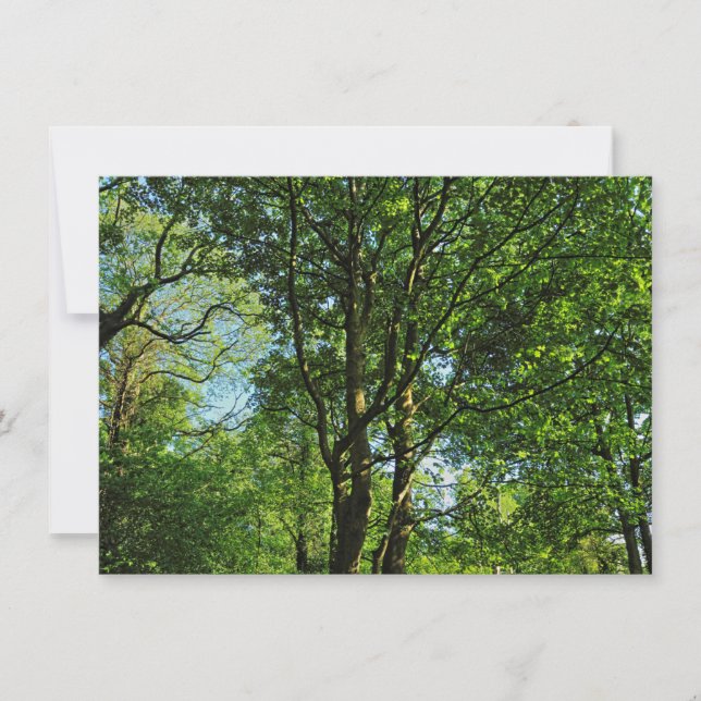 Blackweir Skogen, Bute Park, Cardiff Wales Kort (Framsida)