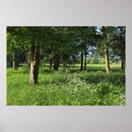 Blackweir Skogen, Bute Park, Cardiff Wales Poster