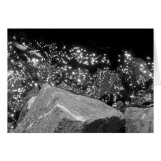 Blackwood Canyon, Sjö Tahoe Hälsningskort