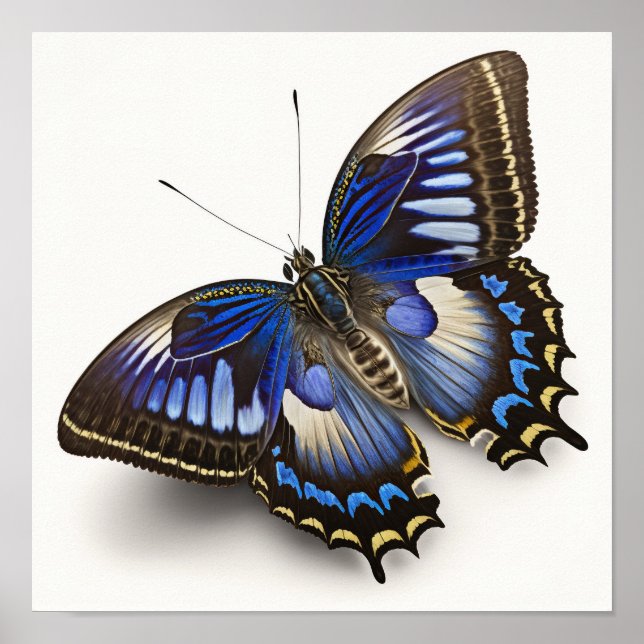 BlåClipper Butterfly Art Print Poster (Framsidan)