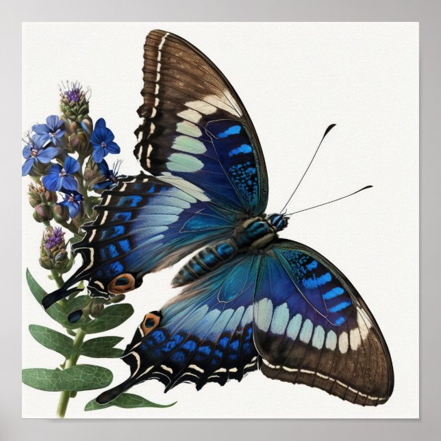BlåClipper Butterfly Art Print Poster (Framsidan)