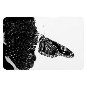 blacq magnet