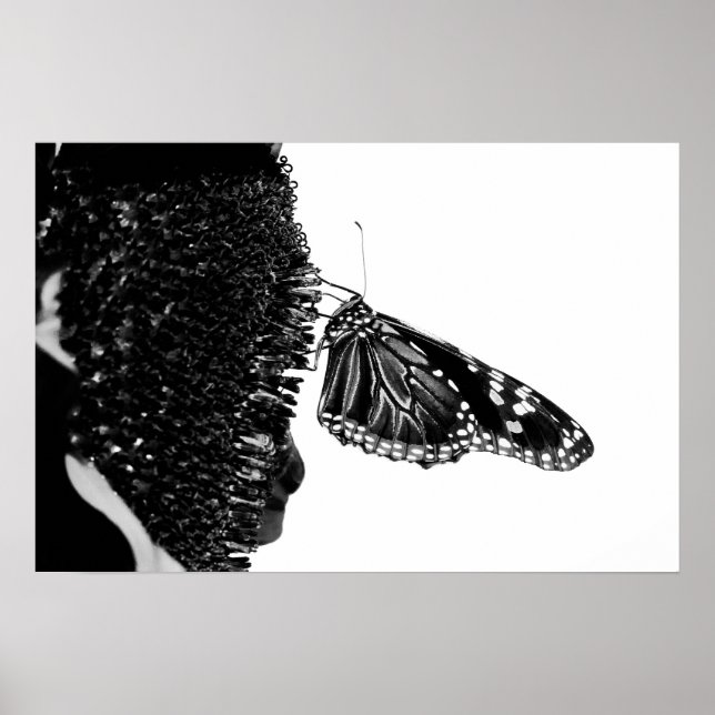 blacq poster (Framsidan)