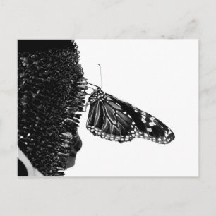 blacq vykort
