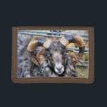 BLAD<br><div class="desc">En fotografisk design av ett vackert ramfår med fantastiska horn.</div>