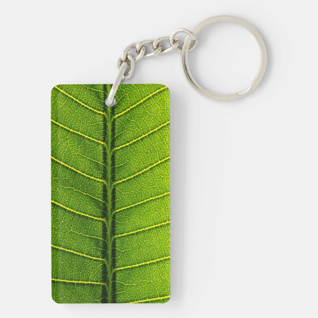 Blad (Baksidan)
