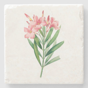 Blad: A005 Oleander - Stenunderlägg