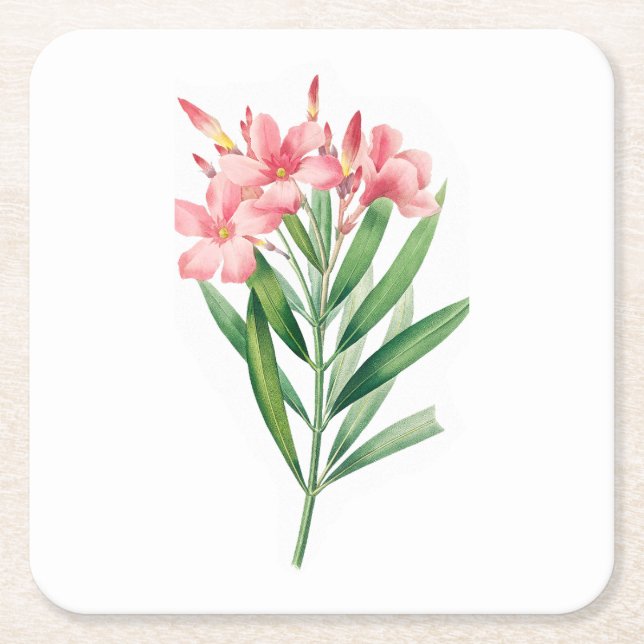 Blad: A005 Oleander - Underlägg Papper Kvadrat (Framsidan)