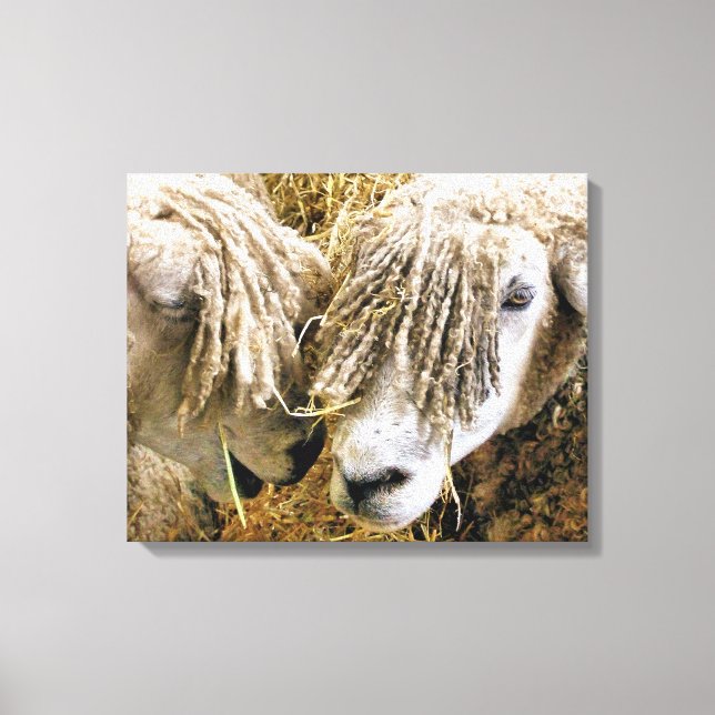 BLAD CANVASTRYCK (Framsida)