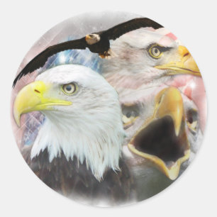 Blad Eagles Runt Klistermärke