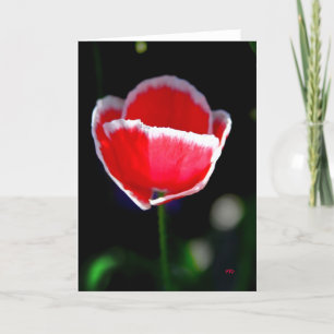 Blad för dig kort