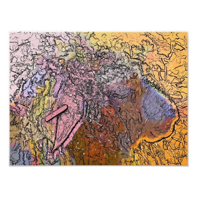 BLAD FOTOTRYCK (Framsidan)