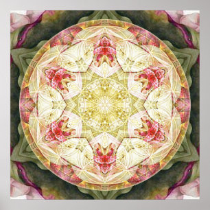 Blad från Life Mandala 6 Poster