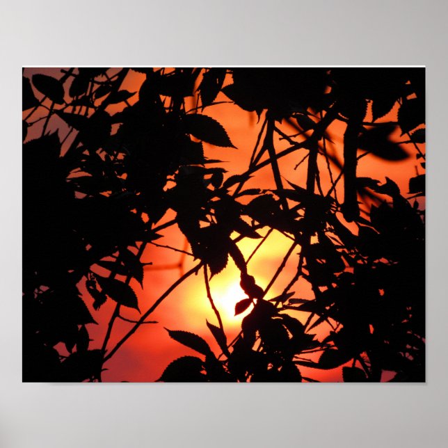 BLAD i SOL Poster (Framsidan)