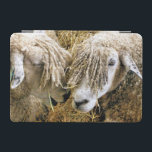 BLAD iPad MINI SKYDD<br><div class="desc">Två vackra Cotswold-får fångade fotografiskt i ett roligt och humoristiskt ögonblick och pratade med varandra. Cotswold-får kommer från Cotsweps i England och föds upp för ylle och kött. De har ett långt ull med en nästan gyllene ton.</div>