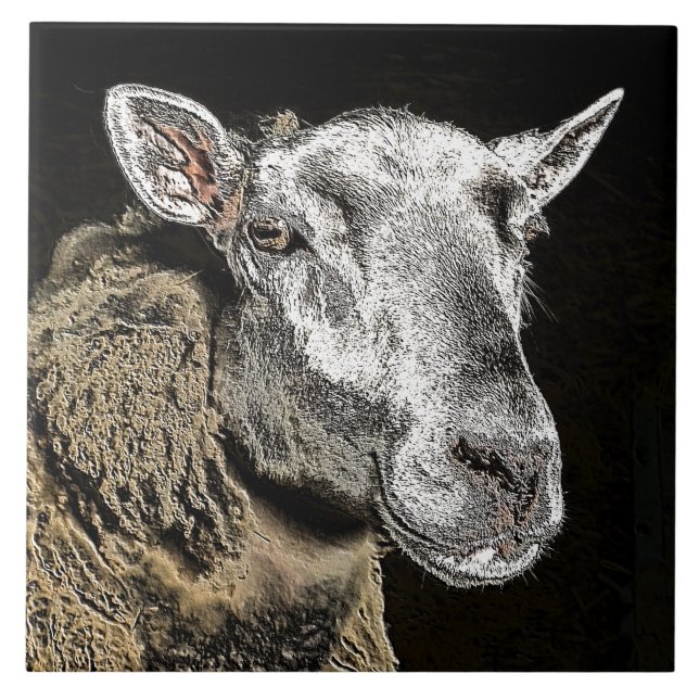 BLAD KAKELPLATTA (Framsidan)