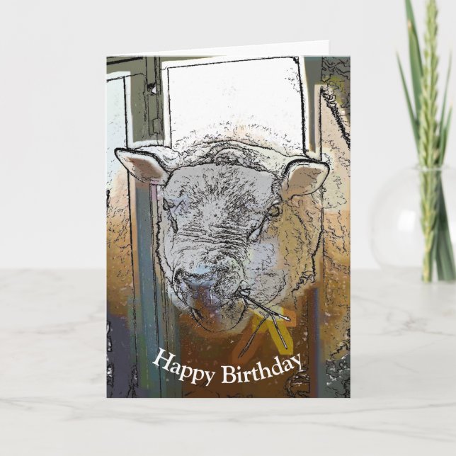 BLAD KORT (Framsida)