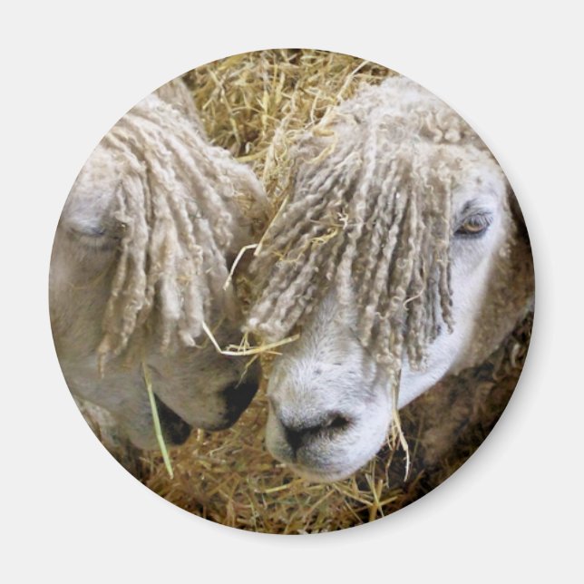 BLAD MAGNET (Framsidan)