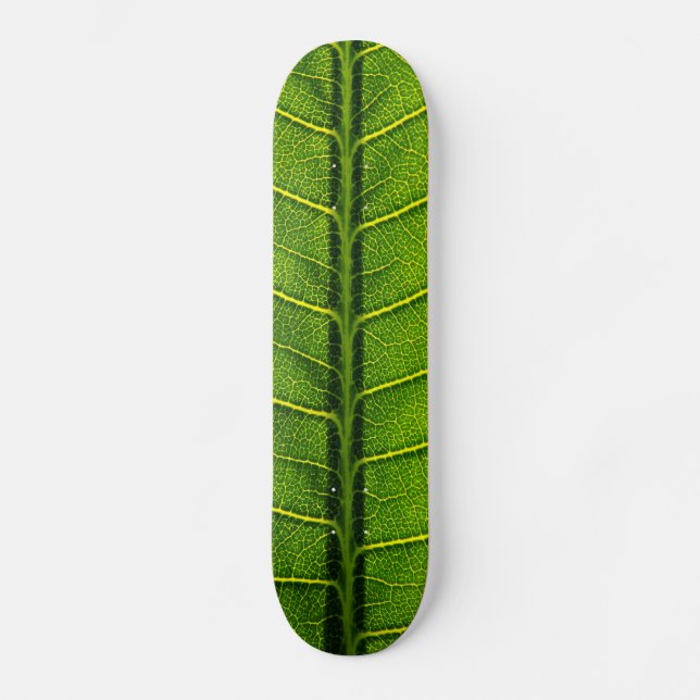 Blad Mini Skateboard Bräda 18,5 Cm (Framsida)