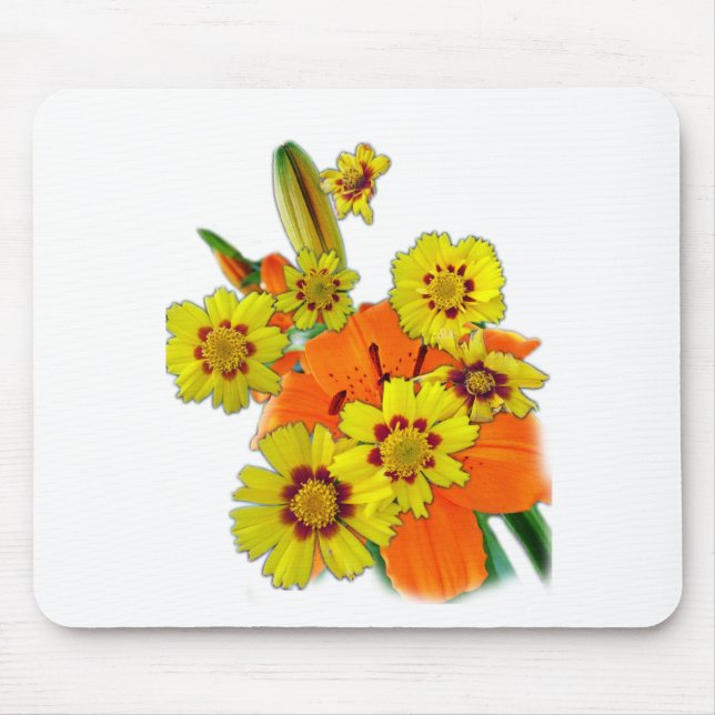 Blad och daisy av orange musmatta (Framsidan)