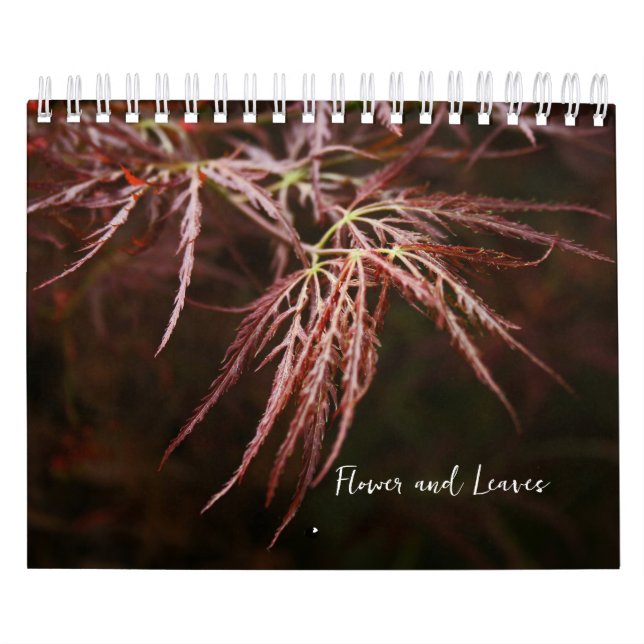 Blad- och Löv-kalender Kalender (Omslag)