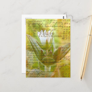Blad- och Vintage-skript Vykort