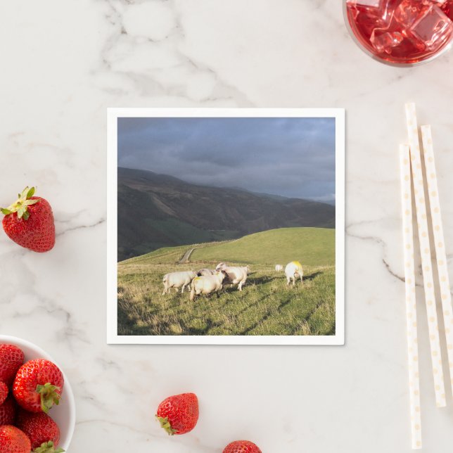 BLAD PAPPERSSERVETT (Insitu)