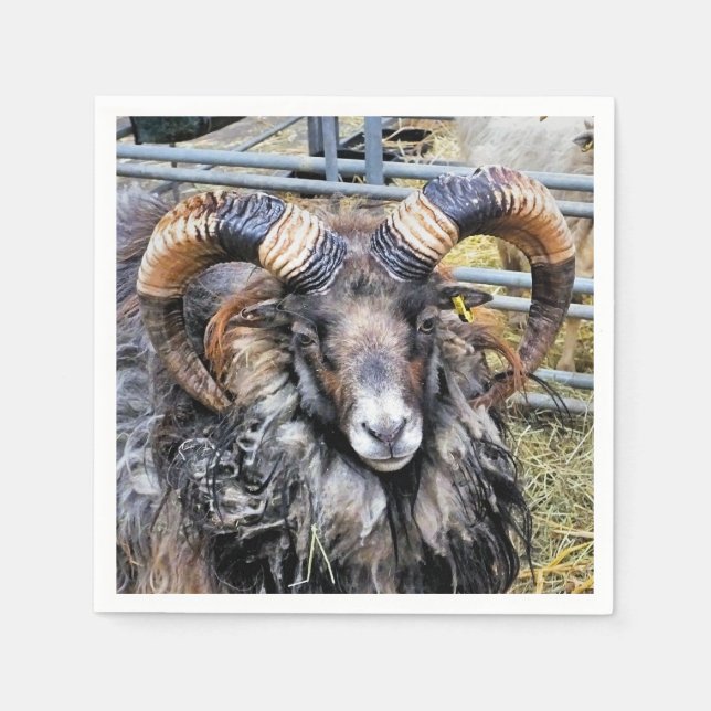 BLAD PAPPERSSERVETT (Framsidan)