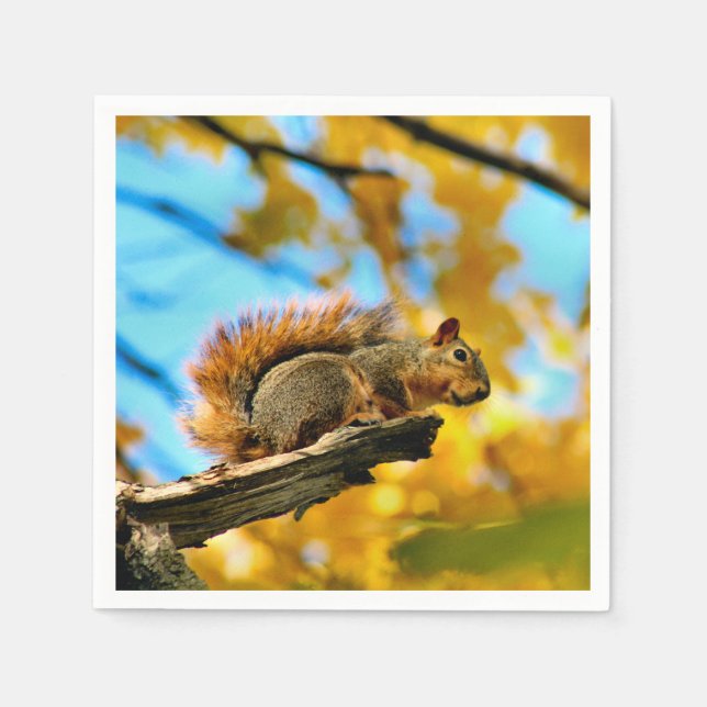 Blad Pappersservett (Framsidan)